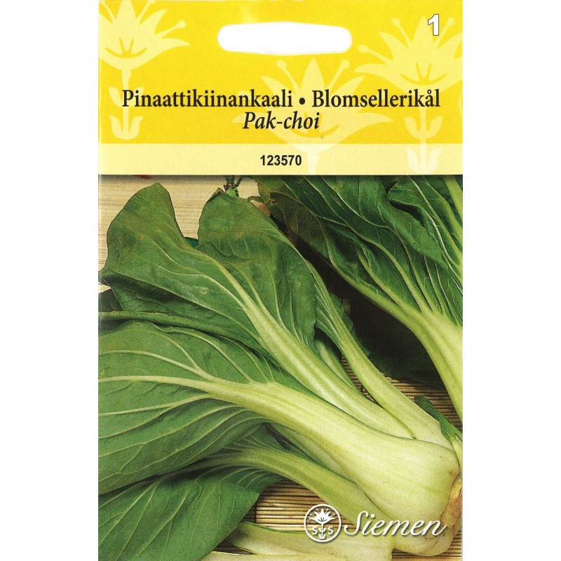 PAK-CHOI 'Tavallinen'